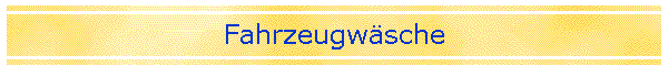 Fahrzeugw�sche